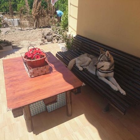 Casita Entre Naranjas Villa Formentera de Segura Eksteriør billede
