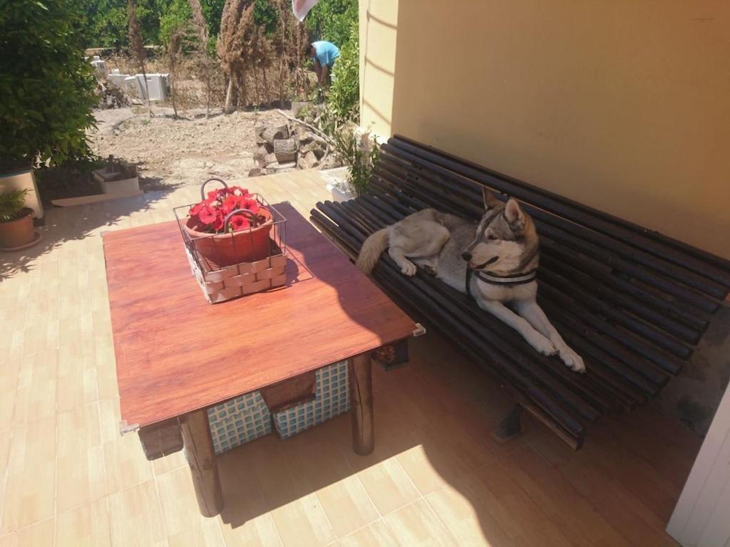 Casita Entre Naranjas Villa Formentera de Segura Eksteriør billede