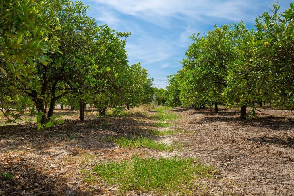 Casita Entre Naranjas Villa Formentera de Segura Eksteriør billede